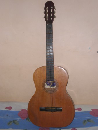 Guitarra Electroacusica EQ-7545R